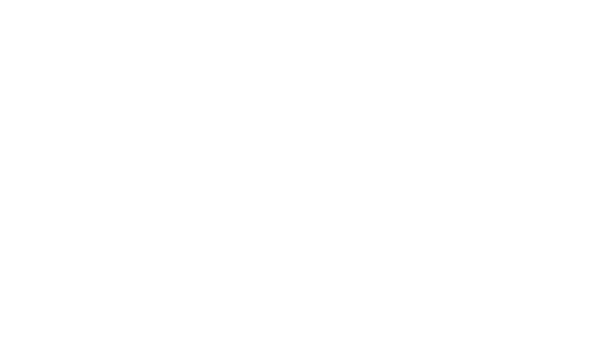Sant Lion Records